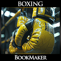 Mike Tyson vs. Jake Paul Boxing Betting